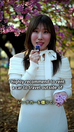 Explore Hokkaido: Top Recommendations Beyond Sapporo for an Unforgettable Road Trip!
