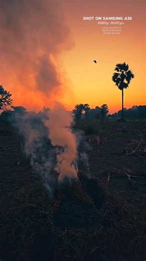 Shahbaz on Instagram: "App link👇 1. Like 2. Follow 3. Comment App link in your DM #ColorGrading #CinematicLook #Filmmaking #VideoEditing #Cinematography #BeforeAfterGrading #CinematicReel #FilmColorist #VisualStorytelling #ReelMagic #TrendingReels #CreatorSpotlight #MadeWithPassion #FilmmakerEdit #CreativeProcess"