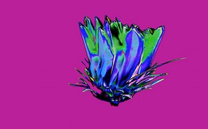 【touchdesigner】edge feedback练习0817