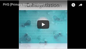 PHS (Primary Health System)