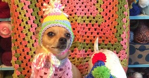 Birthday Dog Hat Crochet Pattern -