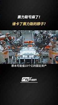 赛力斯亏麻了！谁卡了赛力斯的脖子？赛力斯