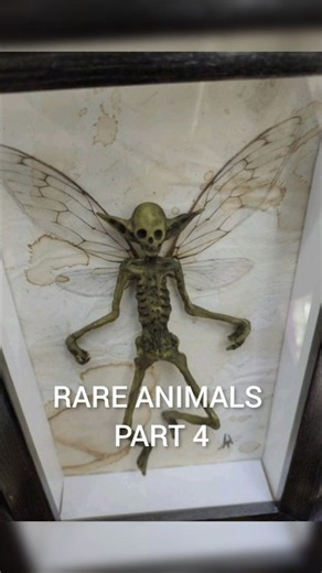 The Rarest Animals You Won’t Believe Are Real 🐾 | Part 4 #facts #animals #shorts