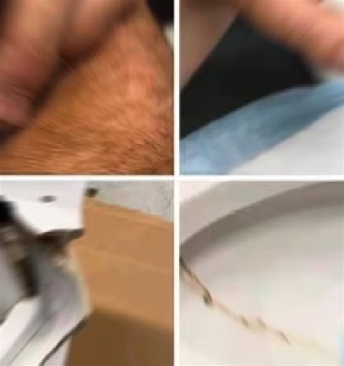 1.8K views |  In several regions, while using their toilets, people were attacked by...  see the 1st comment | Alien Relics | Facebook