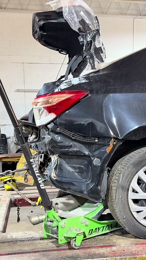 Exploring the Vibrant Community of Chicago's Arab Americans