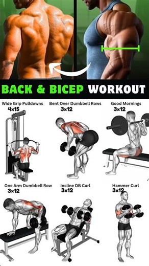 Ultimate Back & Bicep Workout for Mass and Strength | Full Routine#shorts #gym #bodybuilding#fitness