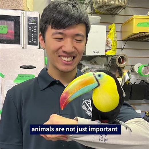 Meet Ethan (Doctor of Veterinary Medicine)