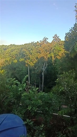 interior #natureza #arujá #sp