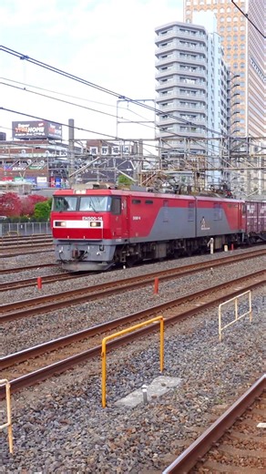 Freight trains at Yono Station, Saitama, Japan, November 2025