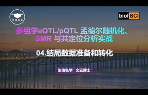 04.结局数据准备和转化【芬兰数据，gwas catolog、gwasopen vcf格式数据转化指南】