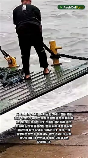 거센 파도 속에서 여객선을 접안시키는 항만 작업자들