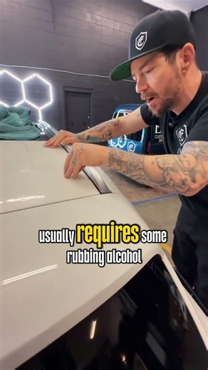 Tree sap is acidic #shorts