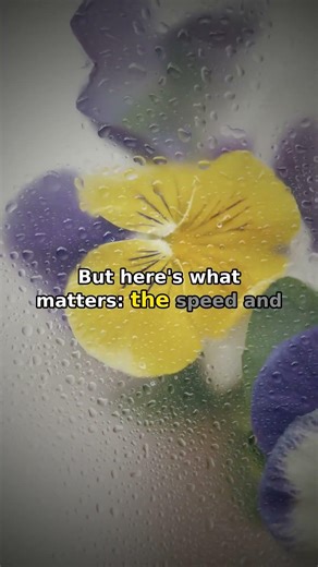 Your Sneeze Travels 100 MPH (Here's Why)