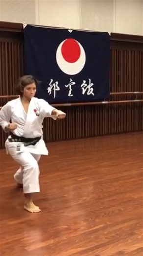 Heian Nidan Kata for beginners #karate #khagaria #club #kata