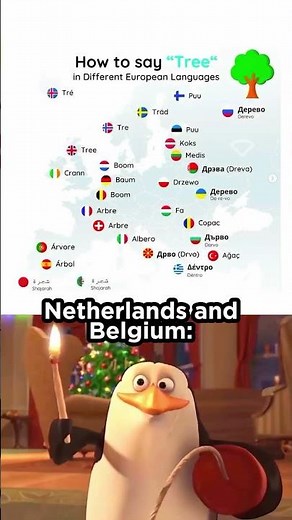 #12 - How to say "Tree" in different European languages