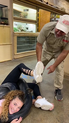 Unique Encounter with Reticulated Python | Amazing Gymnastics Trick