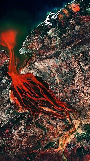 Madagascar saigne : le cercle vicieux de la déforestation #documentary #madagascar #fire #forest