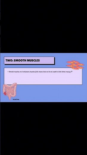 ❤️ Cardiac Muscle: The Only Muscle That Works Non-Stop for Life! | Part 3 #HeartFacts