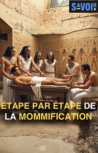 1.5K views · 26 reactions | Les momies les plus classiques que nous connaissons viennent d'Égypte, et la raison est simple : ils disposaient d'une méthode très professionnelle pour embaumer et garder les corps de leurs compatriotes en bon état, qui comportait 3 étapes. A cette occasion, nous utiliserons Ramsès II comme spécimen momifié pour vous expliquer le processus. 蓼❓ Je vous invite maintenant à en SAVOIR + ! #funérailles #curiosités | Savoir Plus | Facebook