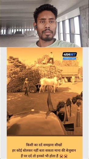 #TIMELASPE START to FINISH alone BUILD LOG Cabin (Wooden House) How to Buld Wooden Cabin new post 10