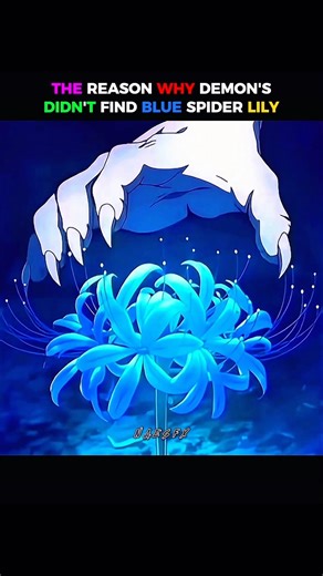 Demon's didn’t find blue spider lily why? #demonslayer #anime #kimetsunoyaiba #muzan #nezuko
