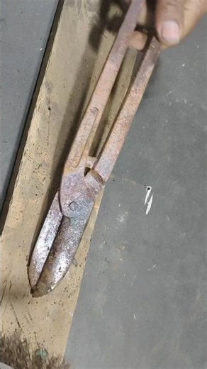Amazing Transformation! Rusted Metal Shears Restoration 🛠️ #shorts
