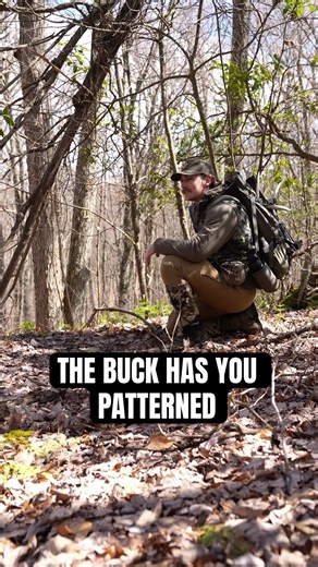 That buck has you patterned! Buck bed overlooking a ladder stand in a saddle