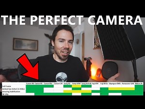 Ultimate Cameras For Wildlife Compared