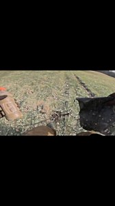 Flat set remake. #nowweretrappin #coyoteacademy #coyotetrapping #trappinandstackin #coyote #beaver #trapping | Coyote Academy