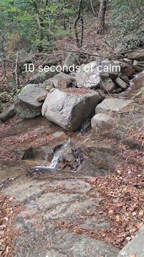 Spring mountain stream sounds. #nature #korea #calm #stream #watersound