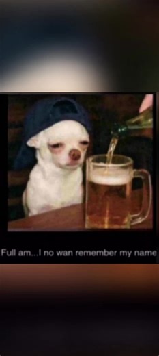 kingston pillar (@king_pillar)’s videos with original sound - kingston pillar