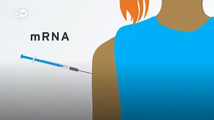 关于mRNA技术，你应该了解的内容