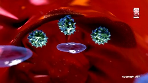 How do vaccines work in our body?