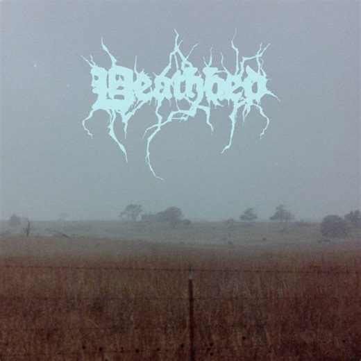 Coatie Pop - Deathbed