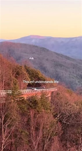 Escape into Aesthetic Nostalgia