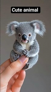 pet goat and cat. duck 50,#cute #cat #dog #goat #duck #shorts