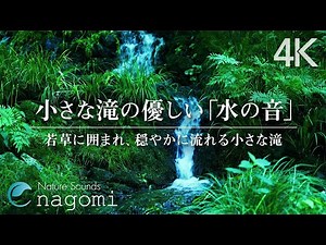 Forest sounds | Gentle sound of small waterfall and birds chirping | study, sleep, relax, healing