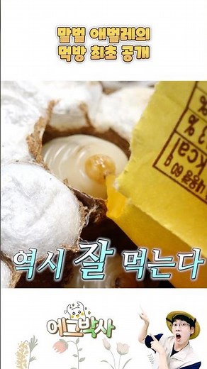 Giant hornet larvae that like expensive tastes