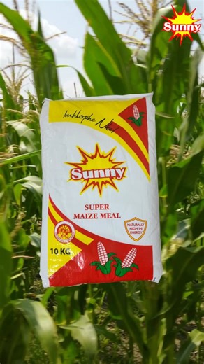 Taste the warmth and tradition of Sunny maize meal. | Southern Trading