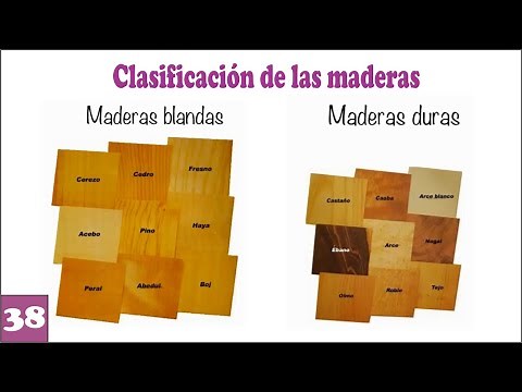 TYPES OF HARDWOODS AND SOFTWOODS 🌲