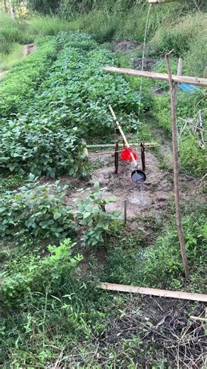 Bamboo-Water Powered, Tapping Sounds Repel Birds, Eco-Efficient & Harmless