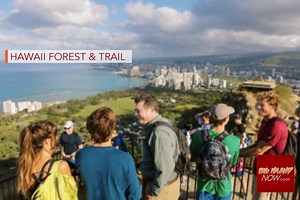 Hawaii Forest & Trail Announces New Excursions | Big Island Now