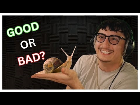 I ATE SNAILS!! | TTV Live Mystery Challenge
