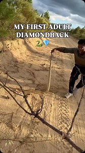 231K views · 17K reactions | Well turns out the 4Runner was worth it!...