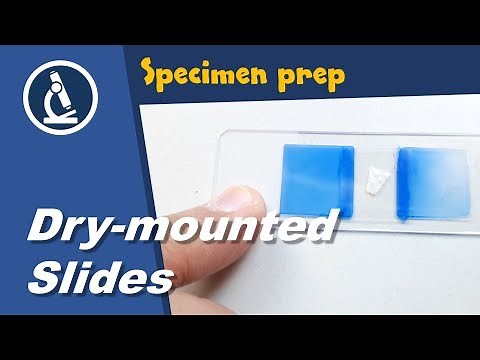 🔬 Making dry-mounted permanent microscopy slides