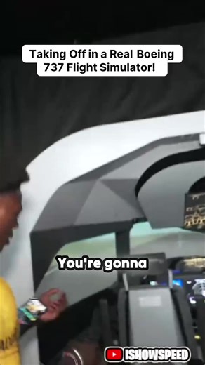 Experience a Realistic Boeing 737 Flight Simulator