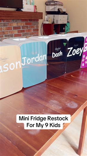 Mini Fridge Restock Ideas for Busy Families