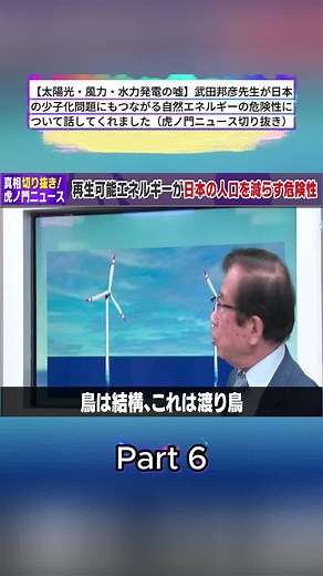 【太陽光・風力・水力発電の嘘】武田邦彦先生が日本の少子化問題にもつながる自然エネルギーの危険性について話してくれました（虎ノ門ニュース切り抜き）p6