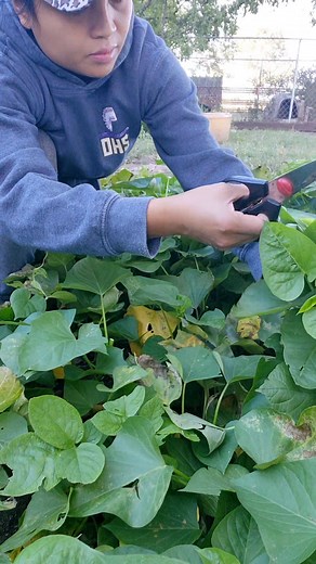 Get a good education 🎓. Get a good job 💼. Make money 💰. Live simply 🧘‍♀️. #Education #job #Money #lifestyle | Mercy Jane Griesel