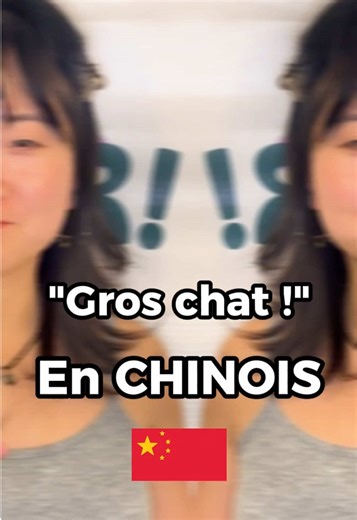 大胖猫 (dà pàng māo) 🐱 Ça veut dire : “gros chat” ou “gros chat tout rond”. Apprends le chinois facilement en t’amusant : phrases du quotidien, prononciation mandarin, humour de couple franco-chinois ! #learnchinese #mandarin101 #languagelearning #funnyteacher